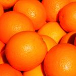 Estimativa da safra de laranja 2019/20