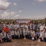 KWS Brasil realizou seleção de avanço de híbridos de milho