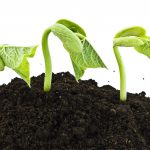 Nutrien anuncia acordo para compra da Agrosema Comercial Agrícola