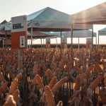 KWS Brasil está presente no Show Rural Coopavel